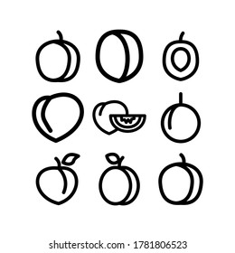 apricot icon or logo isolated sign symbol vector illustration - Collection of high quality black style vector icons
