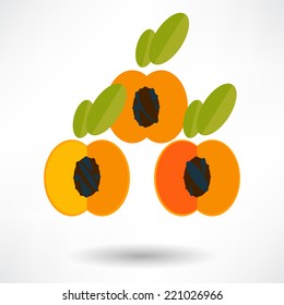 Apricot icon with shadow in flat design