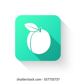 Apricot, icon, symbol made in a flat style. Fruit isolated organic ripe with a piece on the theme of healthy eating for your Projects summary. Vector illustration.