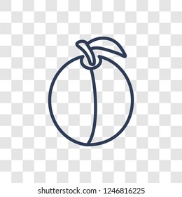 Apricot icon. Trendy linear Apricot logo concept on transparent background from Fruits and vegetables collection