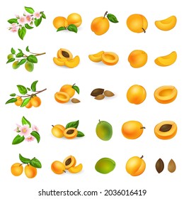 Apricot icons set cartoon vector. Confiture jam. Nectarine peach