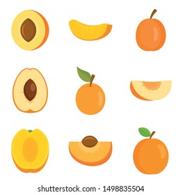 Apricot icons set. Flat set of apricot vector icons for web design