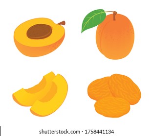 Apricot icons set. Isometric set of apricot vector icons for web design isolated on white background