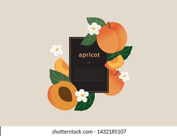 apricot illustration / hand drawing