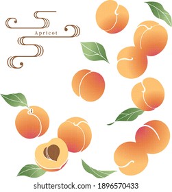 Apricot illustration
Japanese traditional pattern