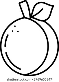 Apricot Illustration vector Icon Design