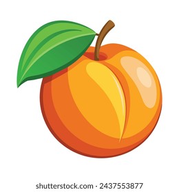 Albaricoque aislado ilustración vectorial plana