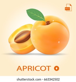 Apricot isolated on orange background. Fresh fruit. Photo-realistic vector illustration