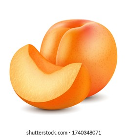 Apricot isolated on white background. Realistic vector