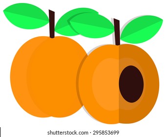 Apricot isolated on white background can be used as web icons, logos, they complement your design. You can place it on any background, because the object isolated on white.