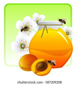 Apricot jam with flowers and fruits of an apricot. Vector illustration