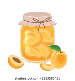 Apricot jam in glass jar and fresh fruit. Vector flat icon of organic sweets. Healthy food illustration.