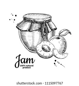 Apricot jam glass jar vector drawing.  Fruit Jelly and marmalade.  Hand drawn food illustration. Sketch style vintage objects for label, icon, packaging design.