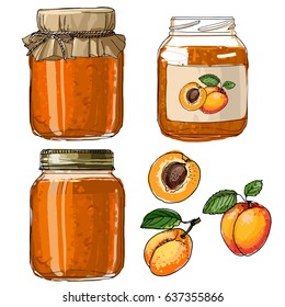 Apricot jam. Set jars for jam. Black line on a white background. Vector skech food