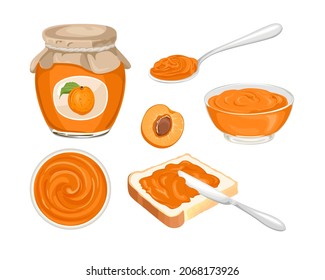 Apricot jam set. Marmalade spread on piece of toast bread, knife, glass jar with jelly, spoon, bowl and fresh fruit isolated on white background. Vector food illustration in cartoon flat style.