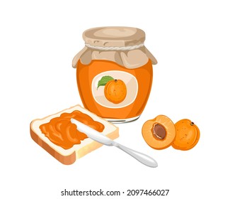 Apricot jam set. Spread on piece of toast bread, knife, glass jar with jelly and fresh fruit isolated on white background. Vector sweet food illustration in cartoon flat style.