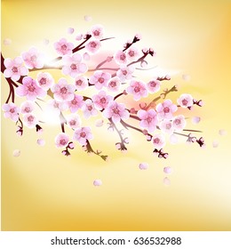 Apricot. Japan Cherry. Branch with Blooming Flowers. Vector illustration. Card, Poster, Flyer. Spring. Plum.