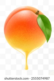 Apricot juice Dripping From Fresh ripe apricot, isolated on transparent background. Sweet apricot with fresh juice. Bright summer design. Realistic 3d vector illustration