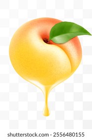 Apricot juice Dripping From Fresh ripe apricot, isolated on transparent background. Sweet apricot with fresh juice. Bright summer design. Realistic 3d vector illustration