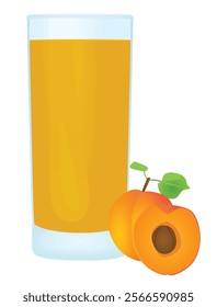 Apricot juice in a glass, vector