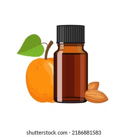 Apricot kernel essential oil in brown glass bottle, herbal alternative medicine treatment product, vector Illustration on white background