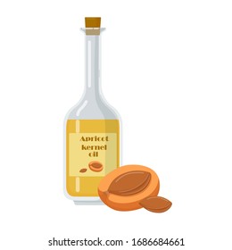 Apricot kernel oil in bottle with cork. Jar with label isolated on white background. Natural liquid extracted from fruit seeds flat vector illustration.