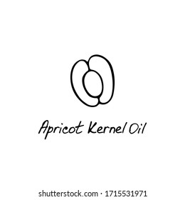 Apricot kernel oil. Cosmetic ingredient. Nutritional oil for skin care. Hand-drawn icon of apricot. Vector illustration