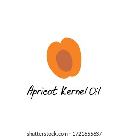 Apricot kernel oil. Cosmetic ingredient. Nutritional oil for skin care. Hand-drawn icon of apricot. Vector illustration