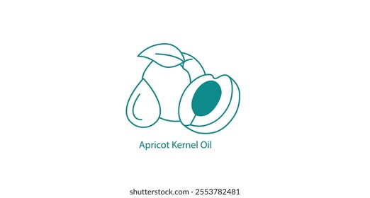 Apricot Kernel Oil Vector Icon for Health and Beauty