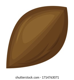 Apricot kernel vector icon.Cartoon vector icon isolated on white background apricot kernel.