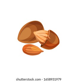 Apricot kernels vector icon. Composition of apricot seeds isolated icon. Cartoon kernels element for design of oil label, logo or packaging.