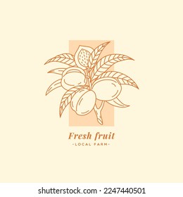 Apricot label design template. Linear graphic style. Vector illustration.