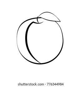 Apricot and leaf on a white background. Silhouette. Vector illustration.