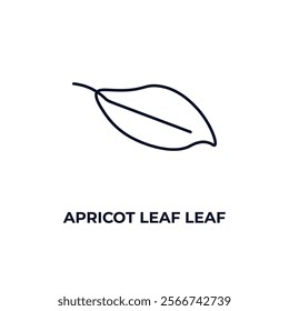 apricot leaf leaf outline icon. Linear vector from nature concept. Thin line apricot leaf leaf icon isolated on white background