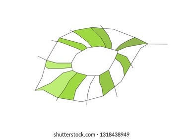 Apricot leaf. Stylized spring leaf. Abstract drawing of apricot leaf