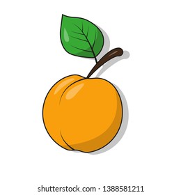Apricot with leaf vector illustration isolated on white background. Fruit fresh icon or sticker.