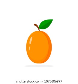 Apricot with leave Icon. Vector isolated symbol.