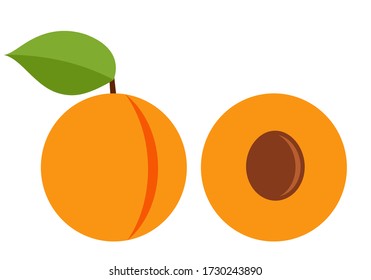 Apricot with leaves and apricot half. Vector graphics on a white background.