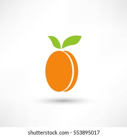 Apricot with leaves icon