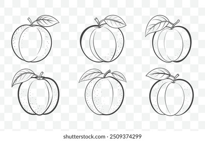 Conjunto de vetor de arte de linha de damasco com ilustrações detalhadas de ramos e folhas de frutas de damasco em estilo minimalista elegante