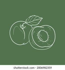 Apricot Line vector illustration. Detailed Food icon for mobile concept, print, menu, and web apps. For for restaurant, bar, vegan, healthy and organic food, market, farmers market.