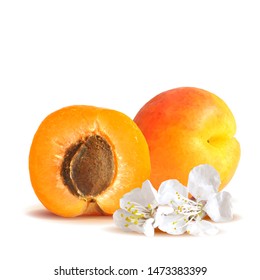 Apricot low poly. Bloom of apricot. Fresh, nutritious, tasty apricot. Delicious and healthy dessert. Elements for label design. Vector illustration. Fruits ingredients in triangulation technique.
