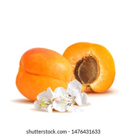Apricot low poly. Bloom of apricot. Fresh, nutritious, tasty apricot. Delicious and healthy dessert. Elements for label design. Vector illustration. Fruits ingredients in triangulation technique.
