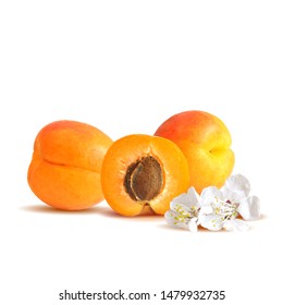 Apricot low poly. Bloom of apricot. Fresh, nutritious, tasty apricot. Delicious and healthy dessert. Elements for label design. Vector illustration. Fruits ingredients in triangulation technique.
