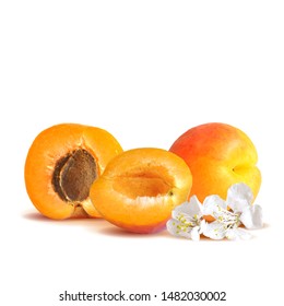 Apricot low poly. Bloom of apricot. Fresh, nutritious, tasty apricot. Delicious and healthy dessert. Elements for label design. Vector illustration. Fruits ingredients in triangulation technique.
