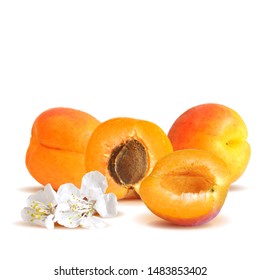 Apricot low poly. Bloom of apricot. Fresh, nutritious, tasty apricot. Delicious and healthy dessert. Elements for label design. Vector illustration. Fruits ingredients in triangulation technique.
