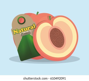 apricot natural product tag market vector illustration eps 10