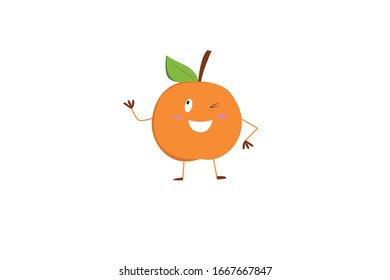 Apricot  Object Vector Fruit Illustration