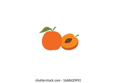 Apricot Object Vektorillustration Fruit Illustration