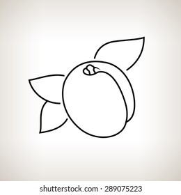 Apricot on a Light Background, Line Style, Black and White Vector Illustration
